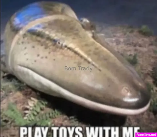 Executionergf OnlyFans Thumbnail #dPa4fp06IS