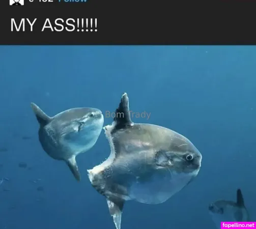 Executionergf OnlyFans Thumbnail #idba2rRZou