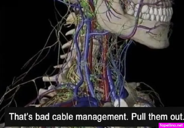 Executionergf OnlyFans Thumbnail #wHOECu2HQF