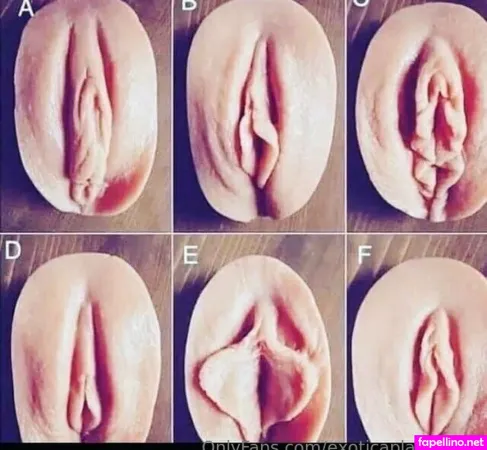 Exoticaplayhouse OnlyFans Thumbnail #q3DA1m942N