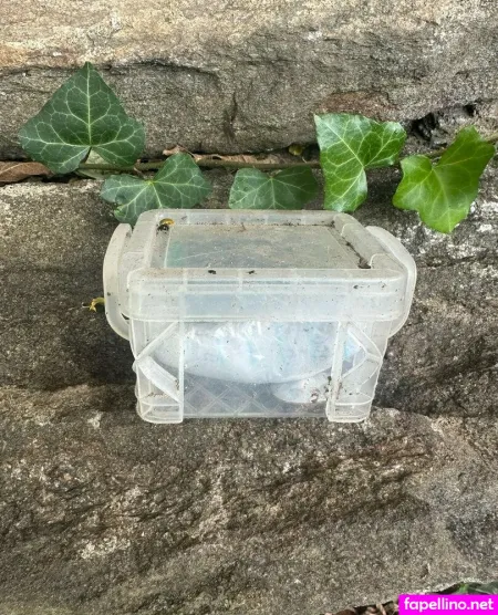 Exoticxxkatie OnlyFans Thumbnail #xz4Zyrpp2o