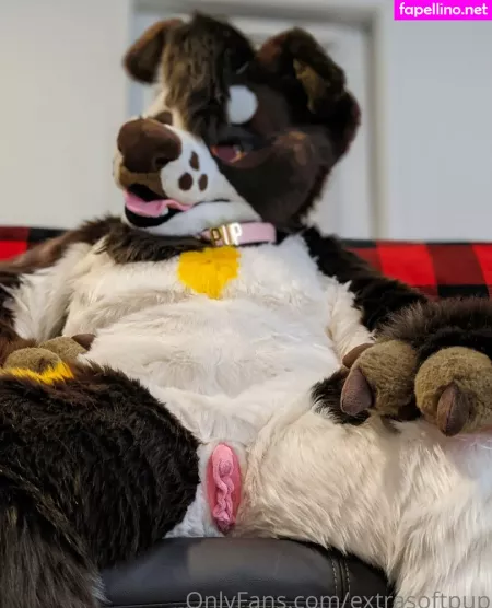 Extrasoftpup OnlyFans Thumbnail #6Y5M7PfW6N