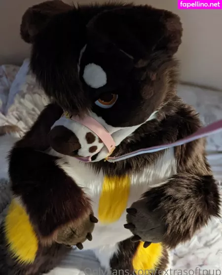 Extrasoftpup OnlyFans Thumbnail #TVnJaF0qeP