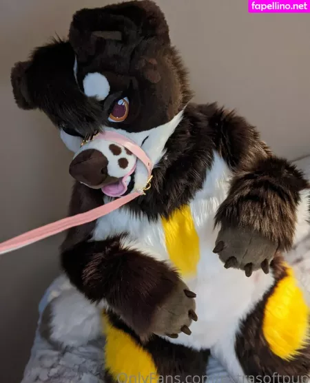 Extrasoftpup OnlyFans Thumbnail #aswwX7aZZP