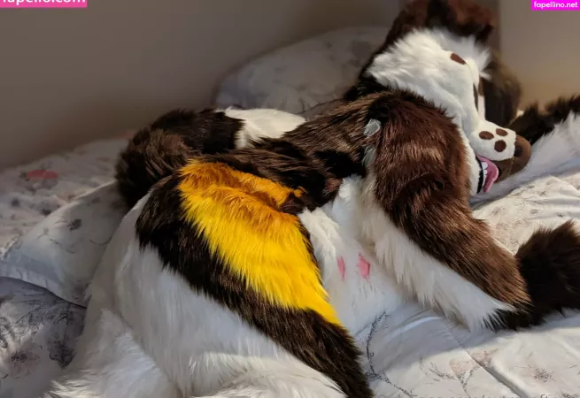 Extrasoftpup OnlyFans Thumbnail #d4KxI7oZZT