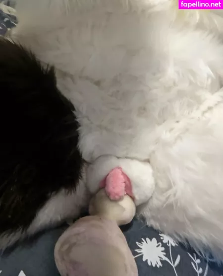 Extrasoftpup OnlyFans Thumbnail #lSCaujzifj