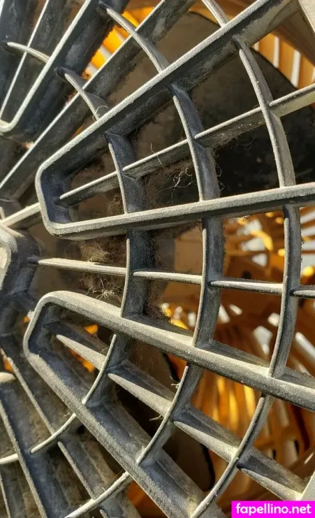 Fans4daze OnlyFans Thumbnail #6Qber4ywN1