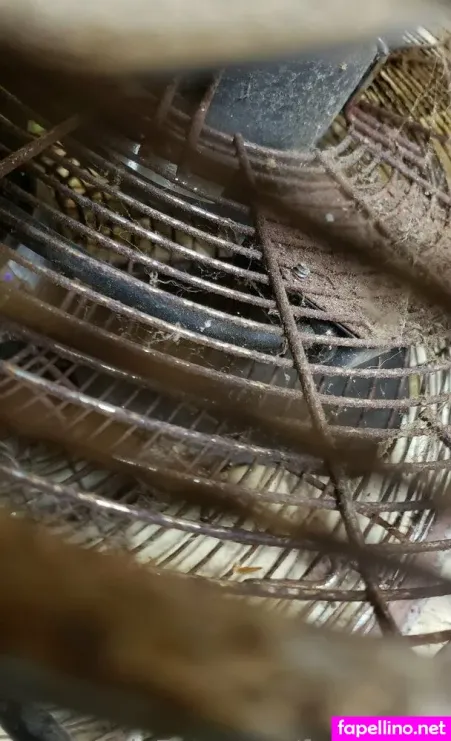 Fans4daze OnlyFans Thumbnail #8BGLaRgzpy