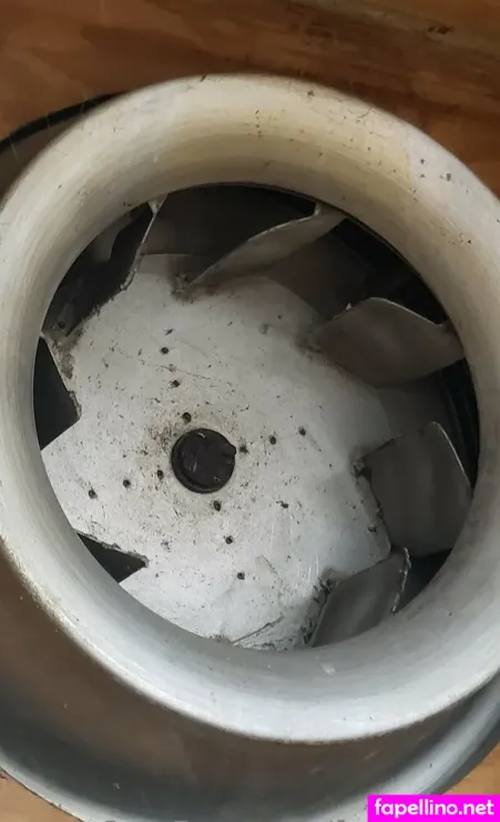 Fans4daze OnlyFans Thumbnail #KzAt3yrh5o