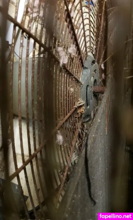 Fans4daze OnlyFans Thumbnail #L9wlFUNMwM