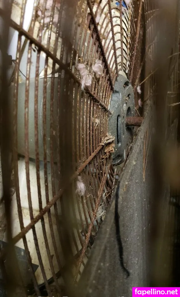 fans4daze, flowz4daze Nude Leaked OnlyFans Photo #L9wlFUNMwM