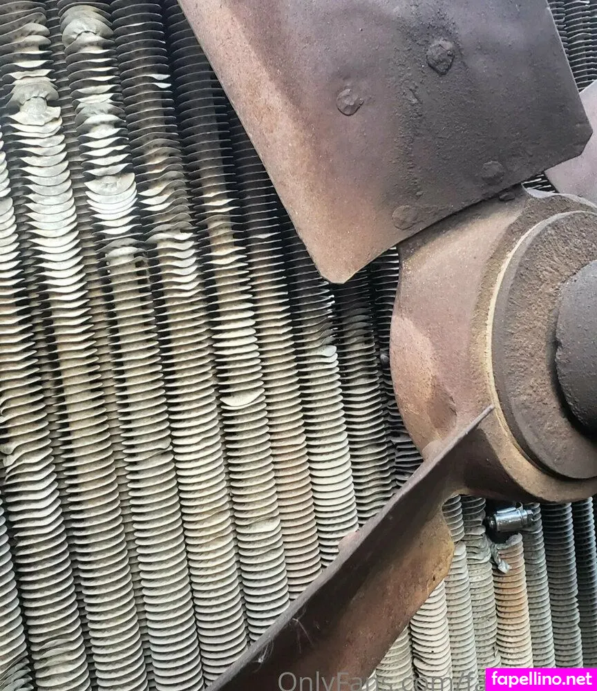 fans4daze, flowz4daze Nude Leaked OnlyFans Photo #NA7a4BNqLM