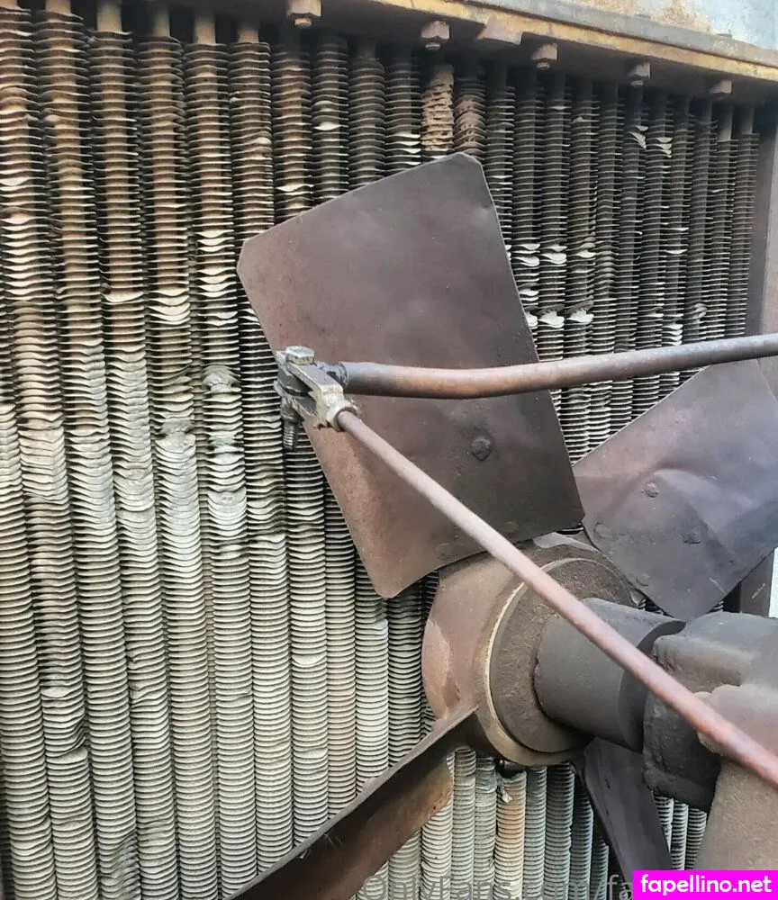 fans4daze, flowz4daze Nude Leaked OnlyFans Photo #WWrS5YPcpB