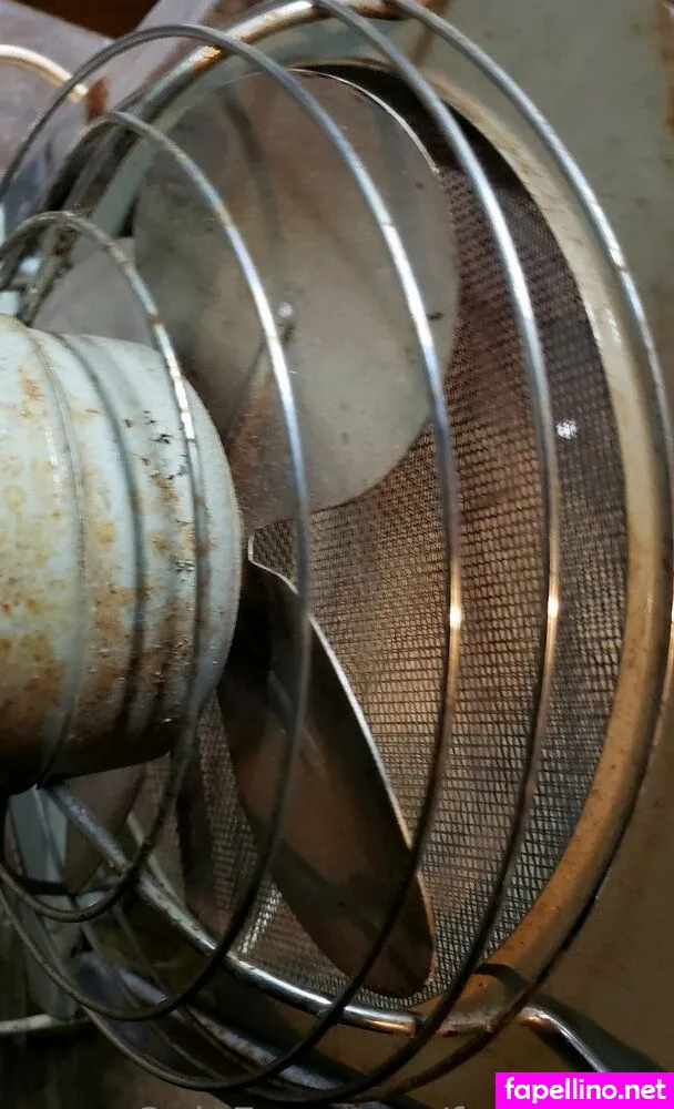 fans4daze, flowz4daze Nude Leaked OnlyFans Photo #axvXDjPXd7