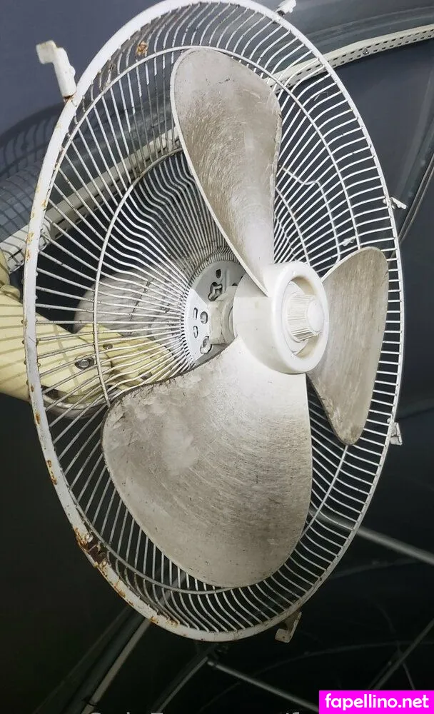 fans4daze, flowz4daze Nude Leaked OnlyFans Photo #cLzMUHIOI0