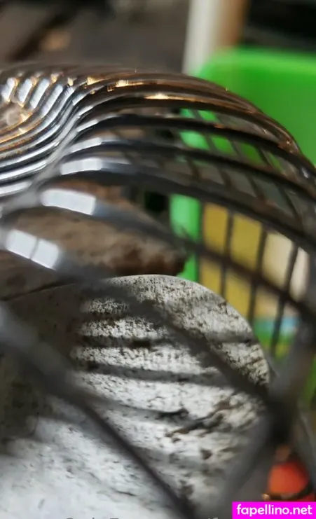 Fans4daze Main Profile Photo