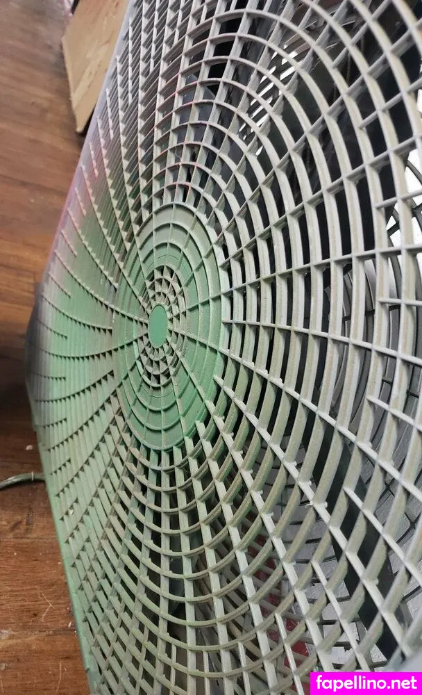 fans4daze, flowz4daze Nude Leaked OnlyFans Photo #jXfQAqEMm2