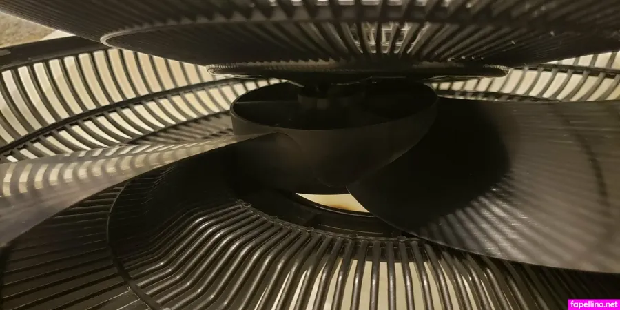 Fans4daze OnlyFans Thumbnail #vz1PwmiKLd