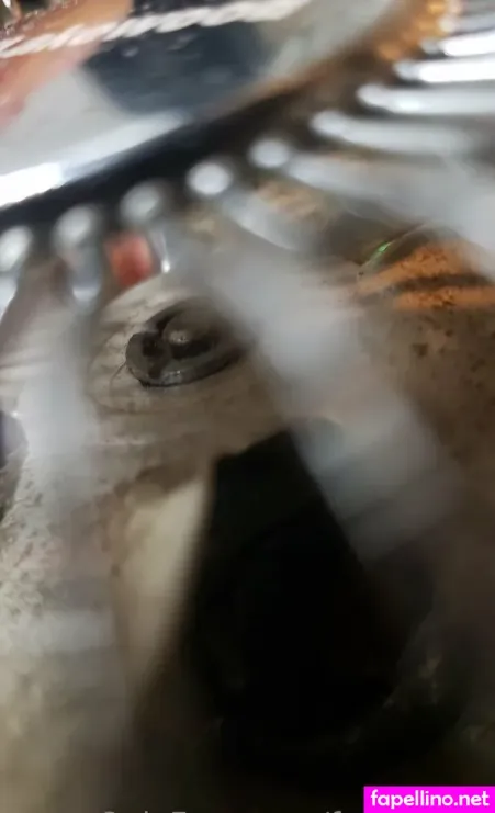 Fans4daze OnlyFans Thumbnail #wQYVr7rtFU