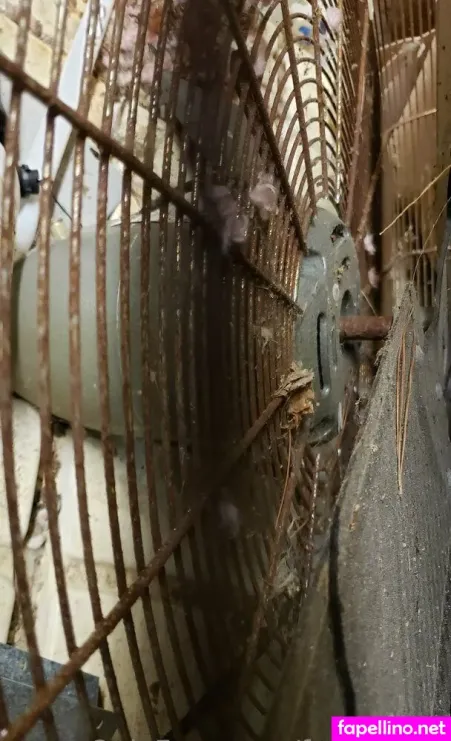 Fans4daze OnlyFans Thumbnail #zdZt17fZVM