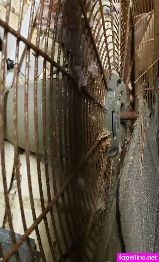 fans4daze, flowz4daze Nude Leaked OnlyFans Photo #zdZt17fZVM