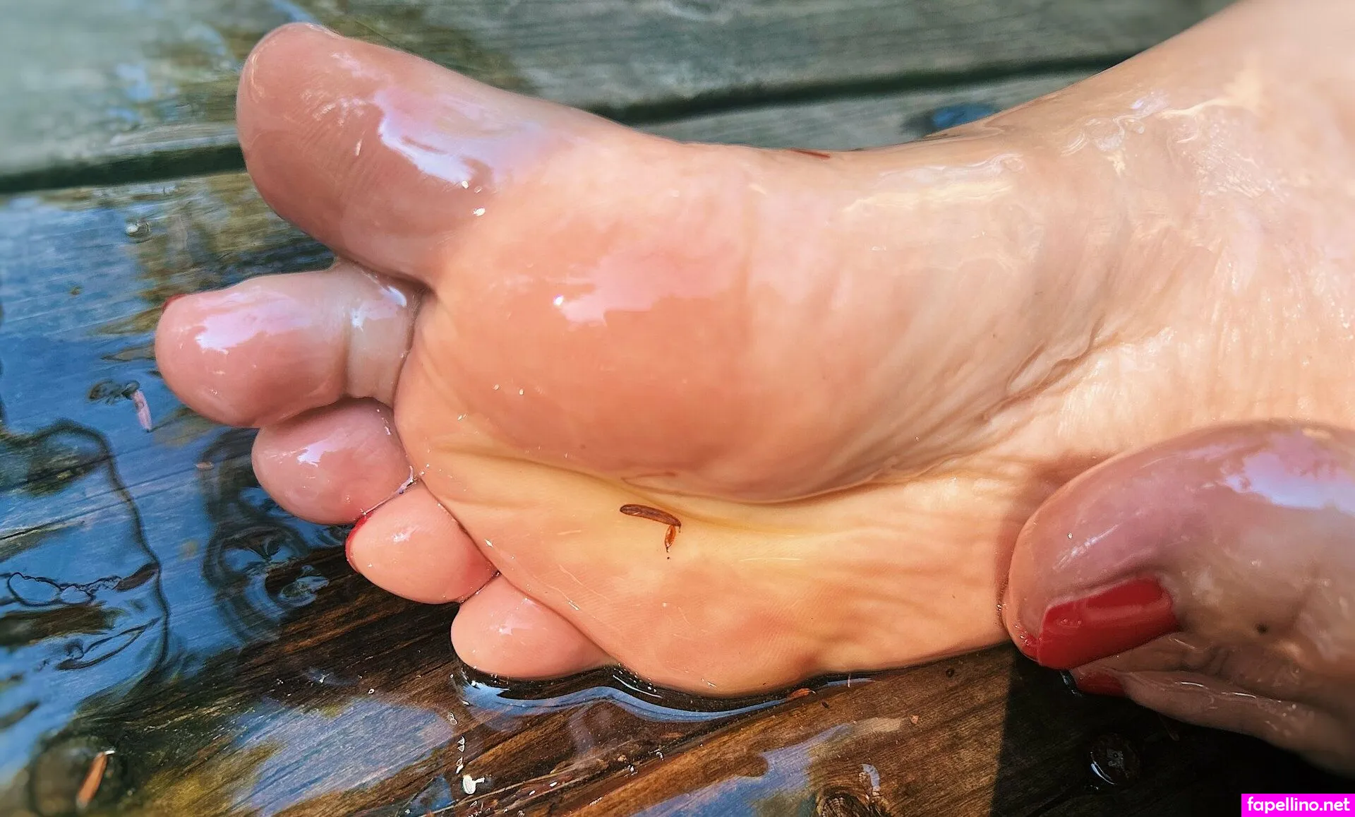 fantasyfox02, fantasyfoxcreations Nude Leaked OnlyFans Photo #f7SV8GtJnN