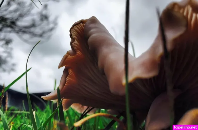 Farrahfahrenhite OnlyFans Thumbnail #asEkMhZN9u