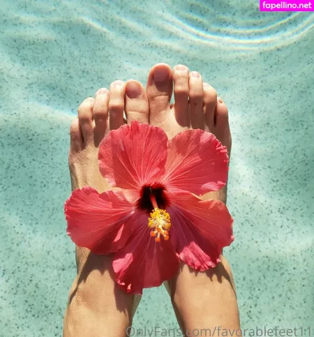 Favorablefeet11 OnlyFans Thumbnail #lM7pccnnps