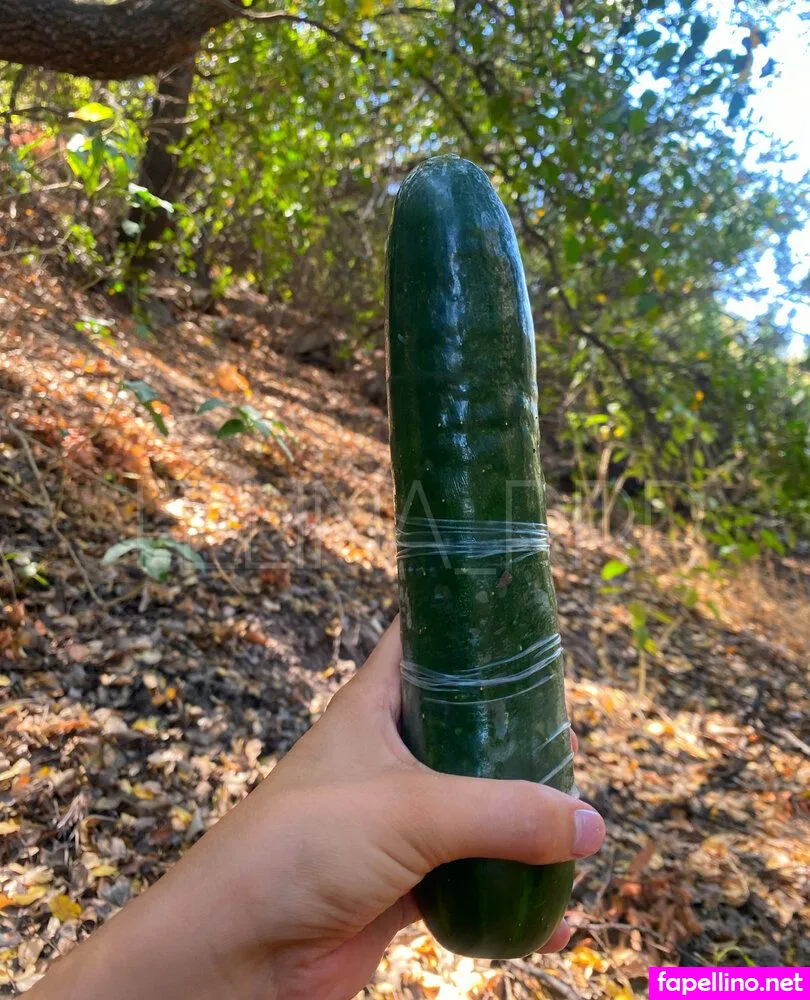 felina_rrr Nude Leaked OnlyFans Photo #5FIJsSlFqq