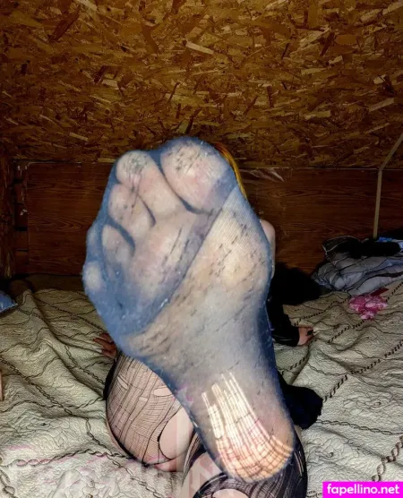 Fellarini OnlyFans Thumbnail #sEuFeDzTeR