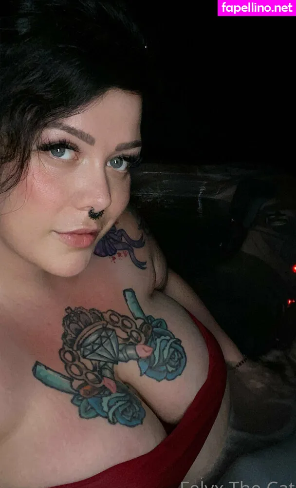 felyxfox, felyxfree Nude Leaked OnlyFans Photo #WoDXIfykUB