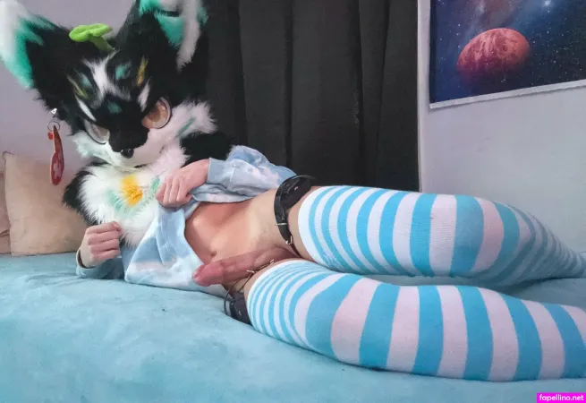 Femboydoggo OnlyFans Thumbnail #BWuTVpGF7T