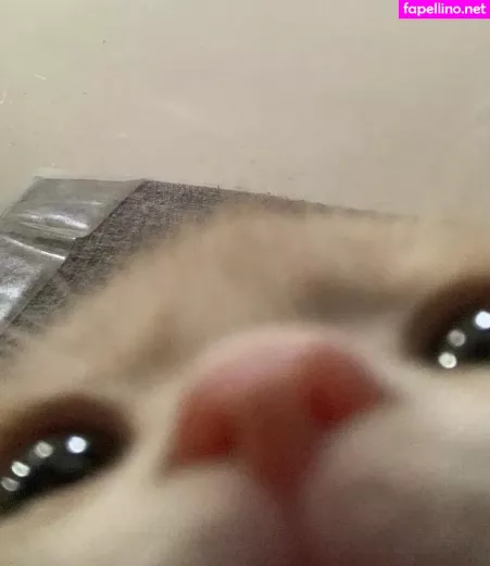 Femboyuk1 OnlyFans Thumbnail #0lVHSTPxzC