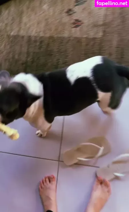 Fernanda Schneider OnlyFans Thumbnail #FqgbVd70XL