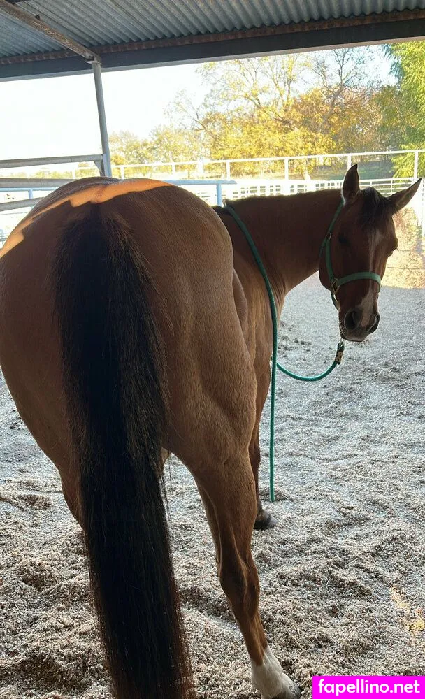 fitbunbabe Nude Leaked OnlyFans Photo #M4y327WNyM