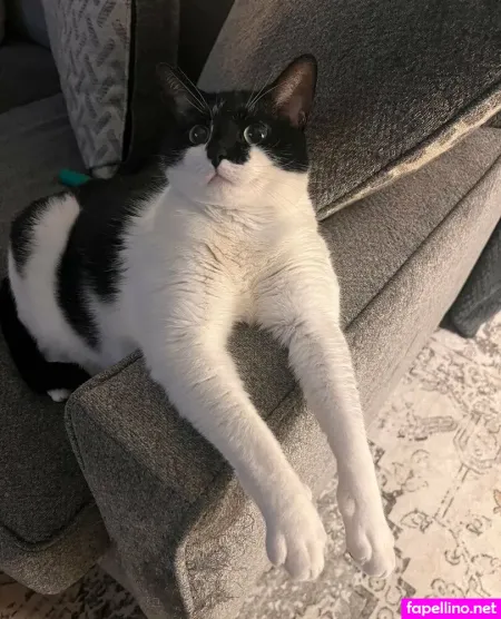 Fitbunbabe 1 OnlyFans Thumbnail #k8vh3fxWW4