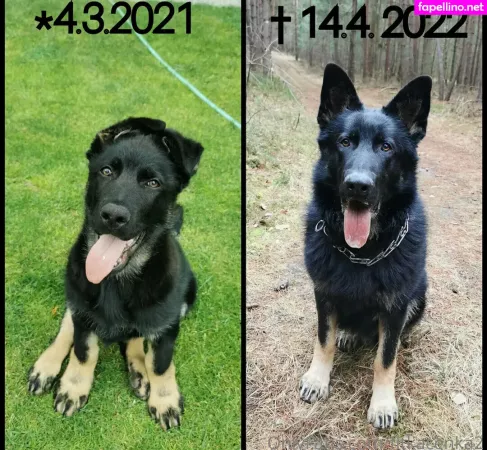 Fitkacenka2 OnlyFans Thumbnail #HrLT07UIk5