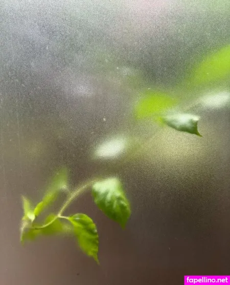 Fleamxfree 1 OnlyFans Thumbnail #ZOkyIQXdbA