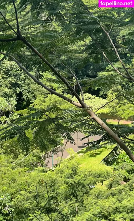 Fleivinha OnlyFans Thumbnail #JaB0bGVVcI