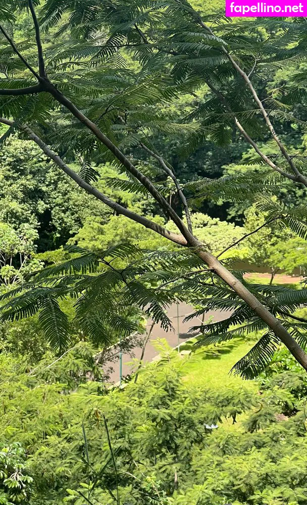 fleivinha Nude Leaked OnlyFans Photo #JaB0bGVVcI