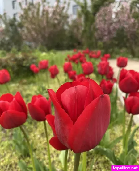 Florence Agapi 1 OnlyFans Thumbnail #6wusYL4WX3