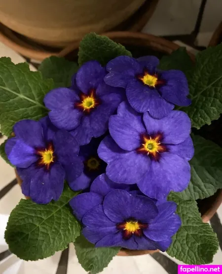 Florence Agapi 1 OnlyFans Thumbnail #GEboadcYhR