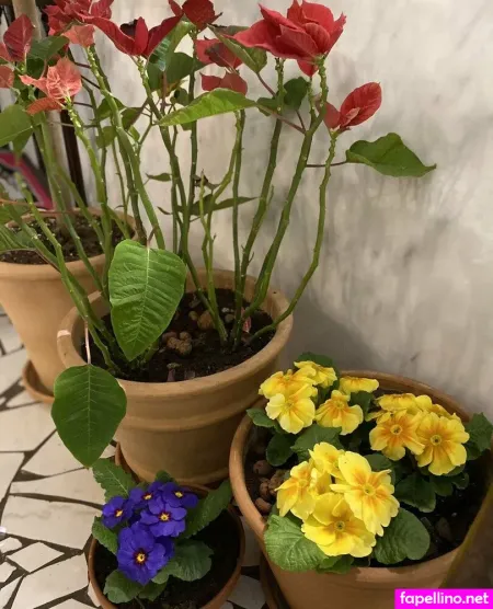 Florence Agapi 1 OnlyFans Thumbnail #nU2o3UAYpW