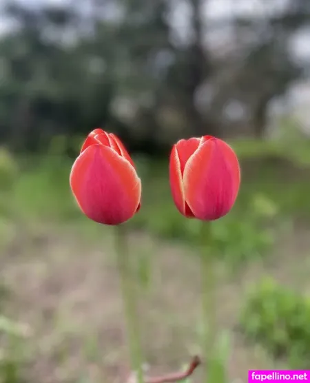 Florence Agapi 1 OnlyFans Thumbnail #tX9Mc4E0qI