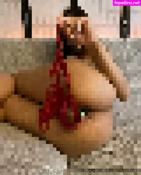 Forbidden Lychee OnlyFans Thumbnail #60ckshBoe8