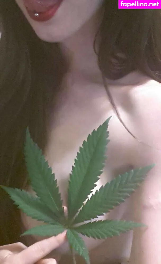 Forest_Nymph, angelmusk_, forestnymphmfc, forestnymphnz Nude Leaked OnlyFans Photo #qwr5YSAl26