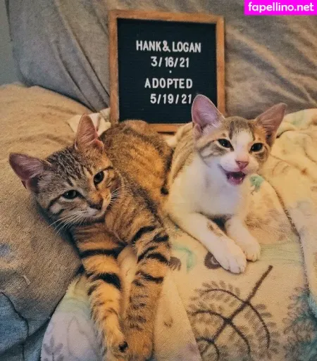 Fosterkittendad OnlyFans Thumbnail #3O31at9AXs