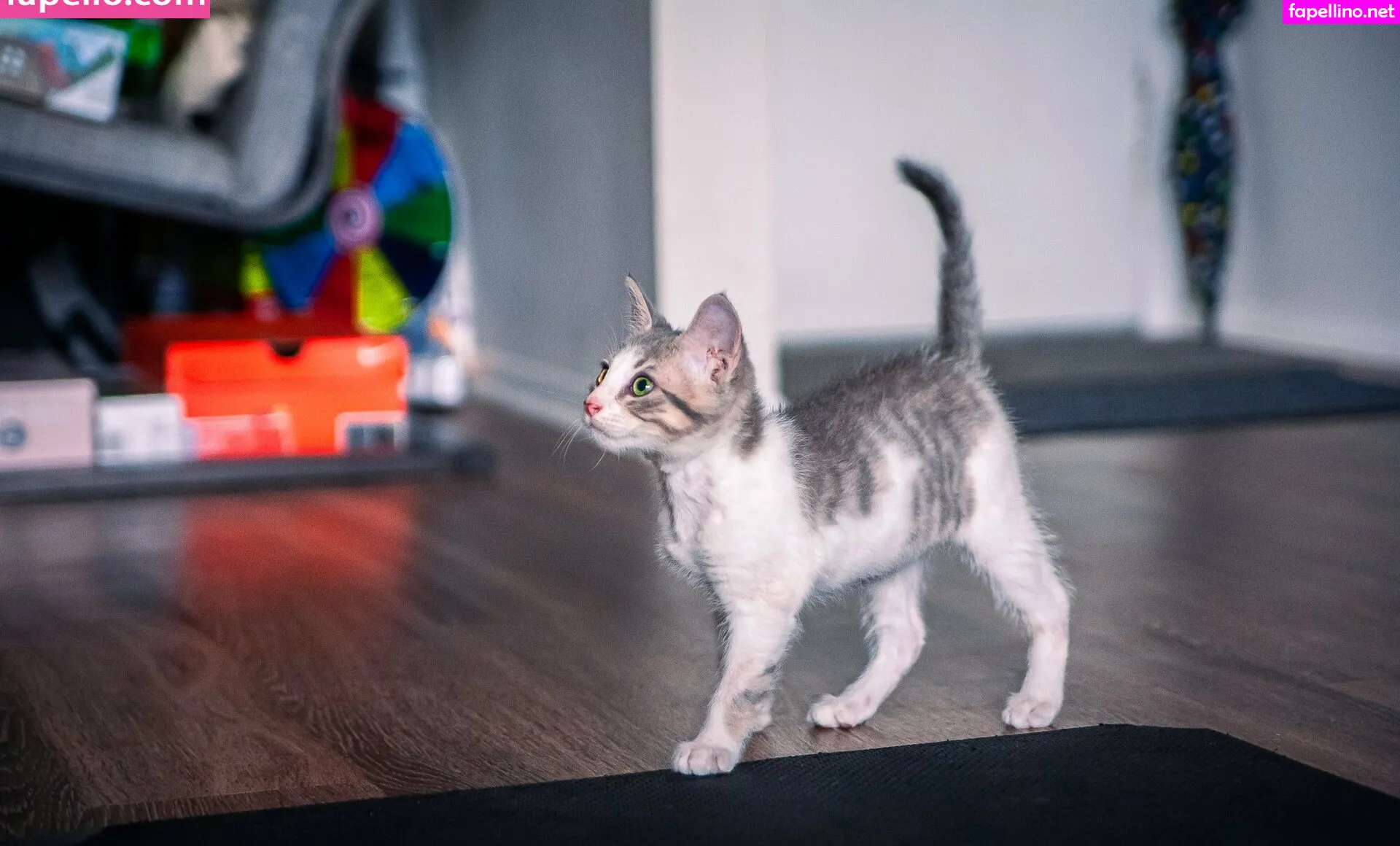 fosterkittendad Nude Leaked OnlyFans Photo #FADtUEMS9a