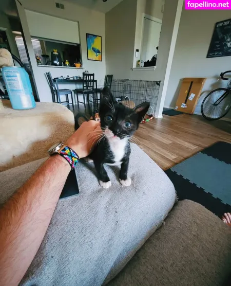 Fosterkittendad OnlyFans Thumbnail #HAPNBFuzGY