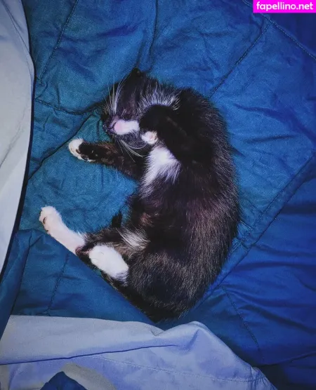 Fosterkittendad OnlyFans Thumbnail #JakEV4PuO6